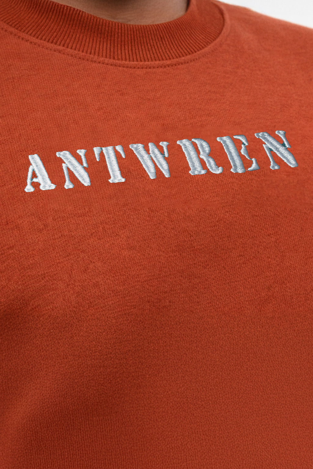 Premium Brick Color Oversized T-shirt with Embroidery Antwren EStore
